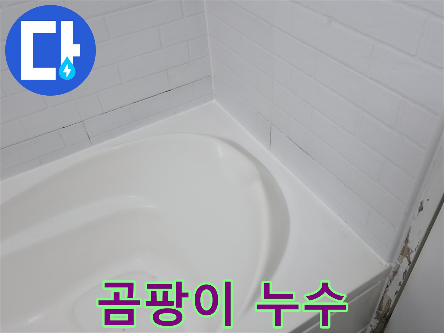 곰팡이 - 누수의 흔적