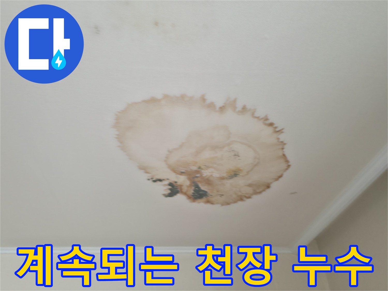 멈추지 않는 천장 누수 - 서대문구 누수탐지 전문가 - 빠른 해결