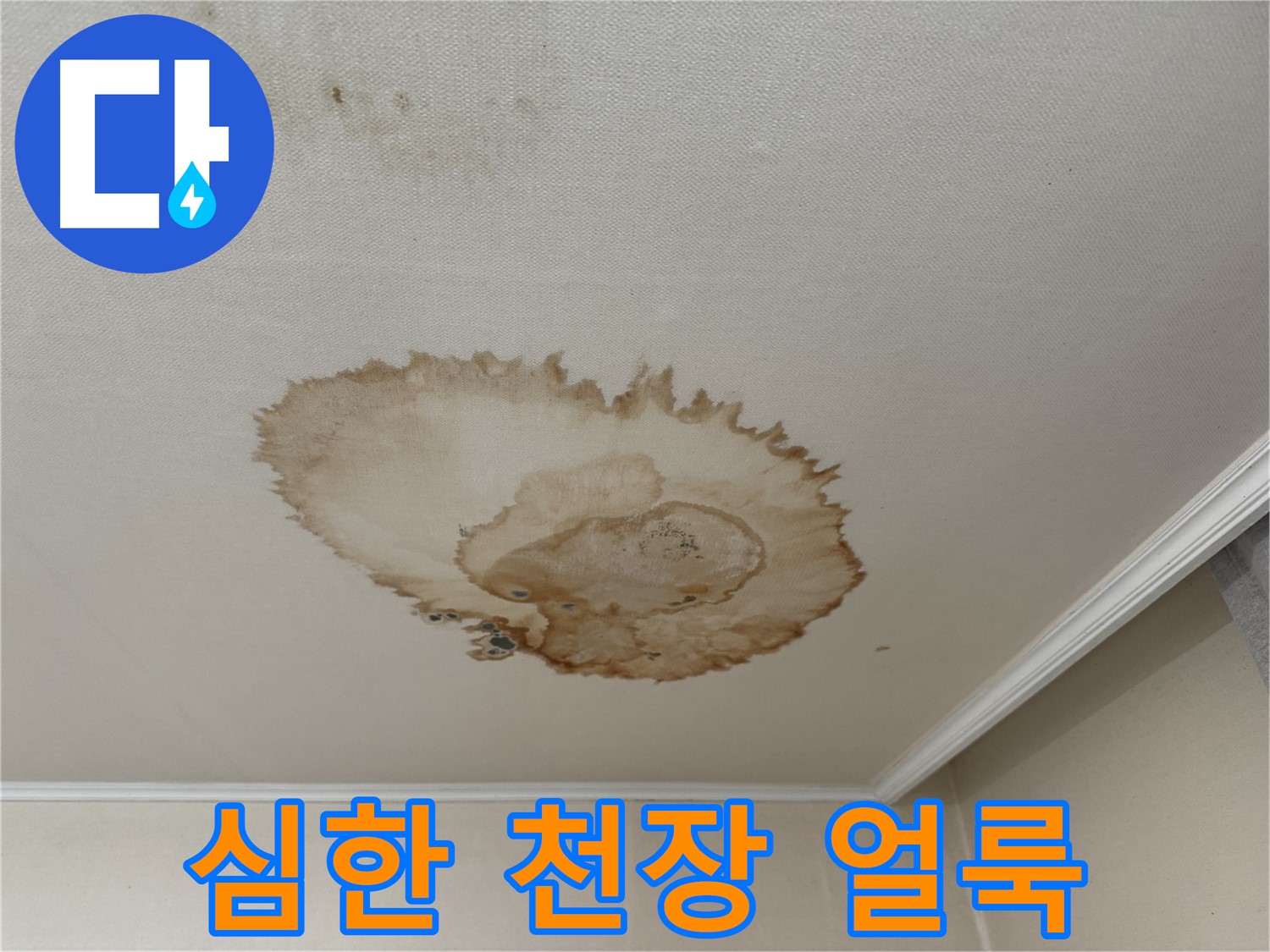 세검정동 누수 - 심한 천장 얼룩 - 정확한 누수 진단 필요
