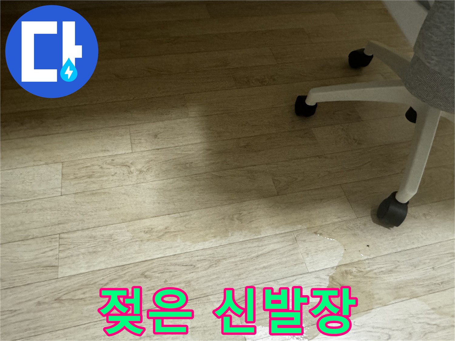 신발장 바닥이 젖어 있는 모습 - 신발에 곰팡이가 생길 수 있습니다.