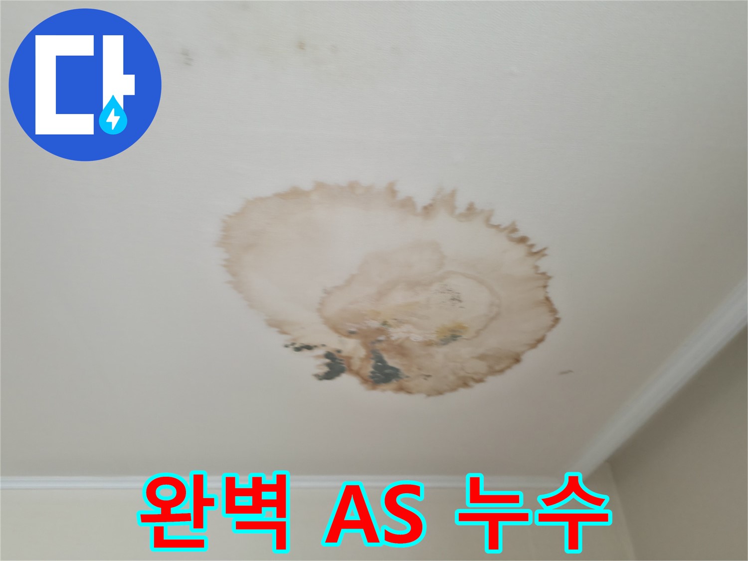 완벽한 A/S - 누수 걱정 끝 - 서대문구 누수