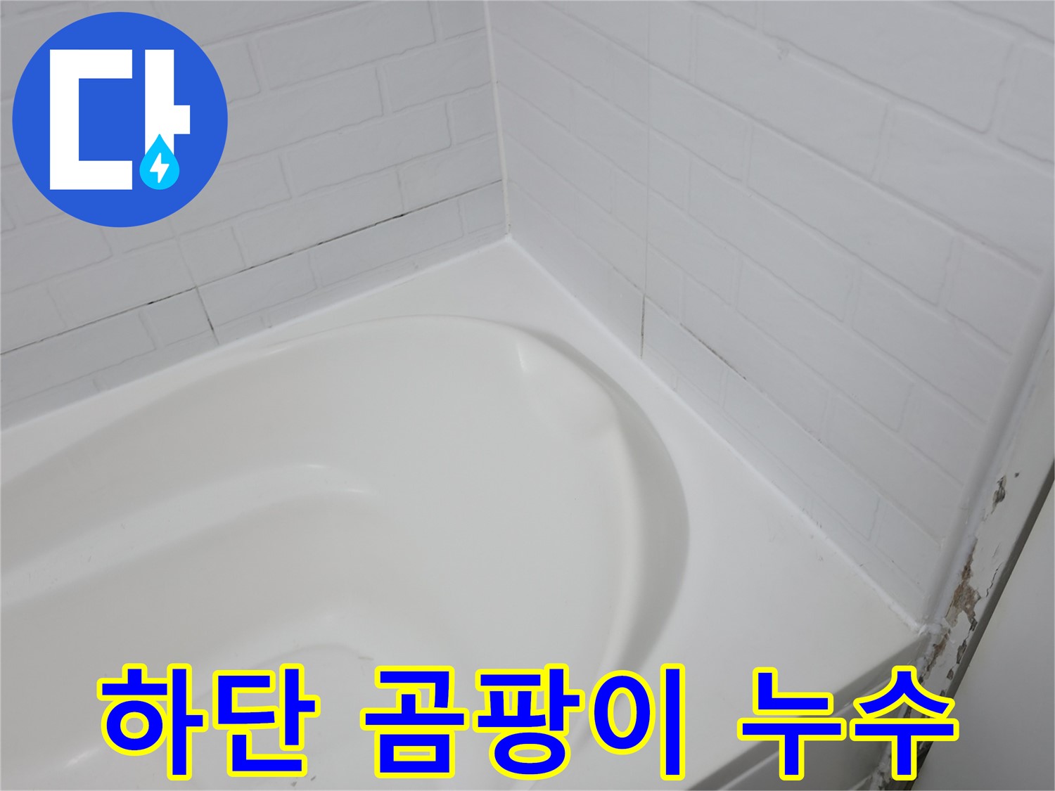 욕조 하단 - 곰팡이와 누수의 콜라보