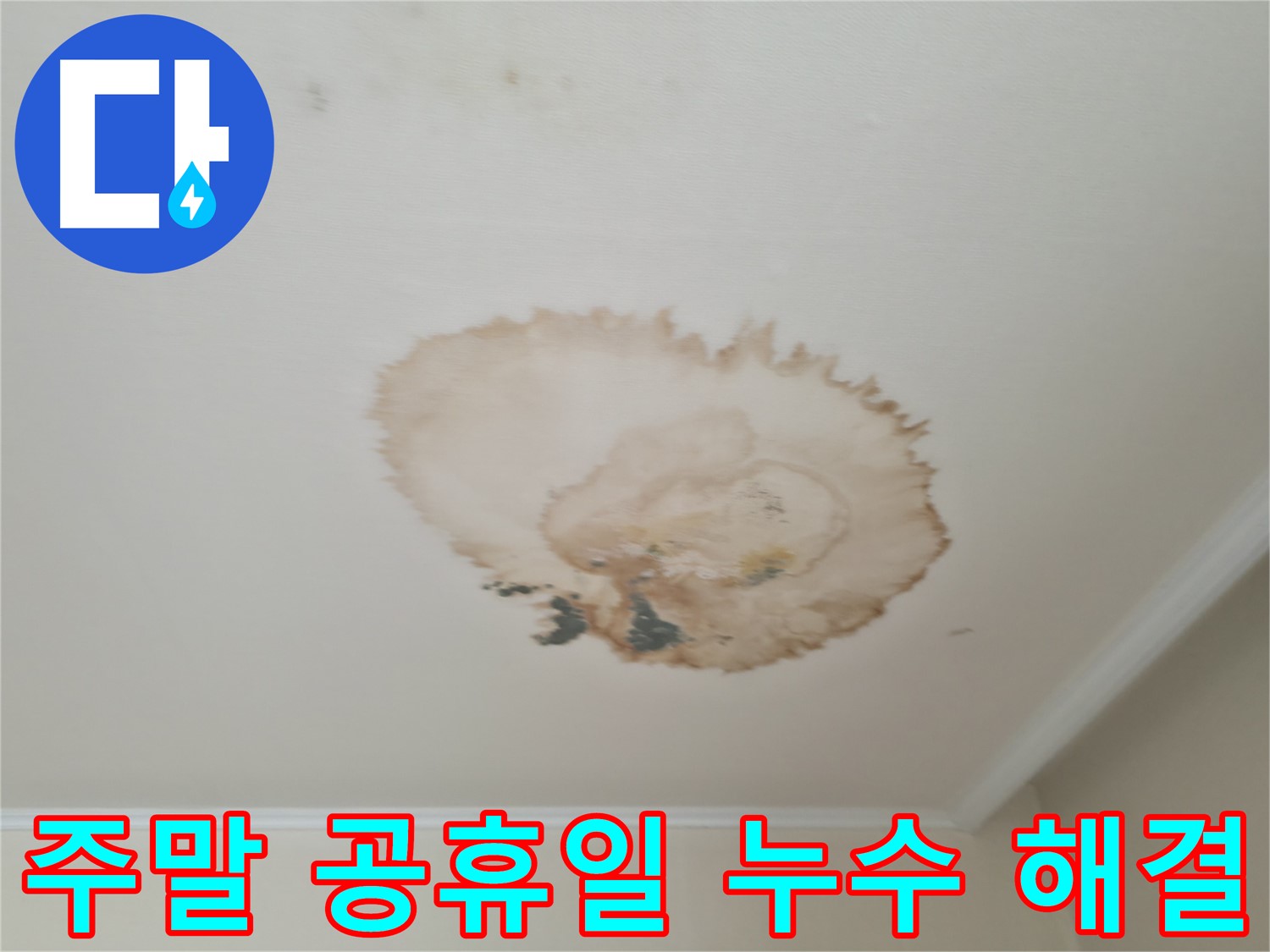 주말/공휴일 - 긴급 누수 해결 - 서대문구 누수