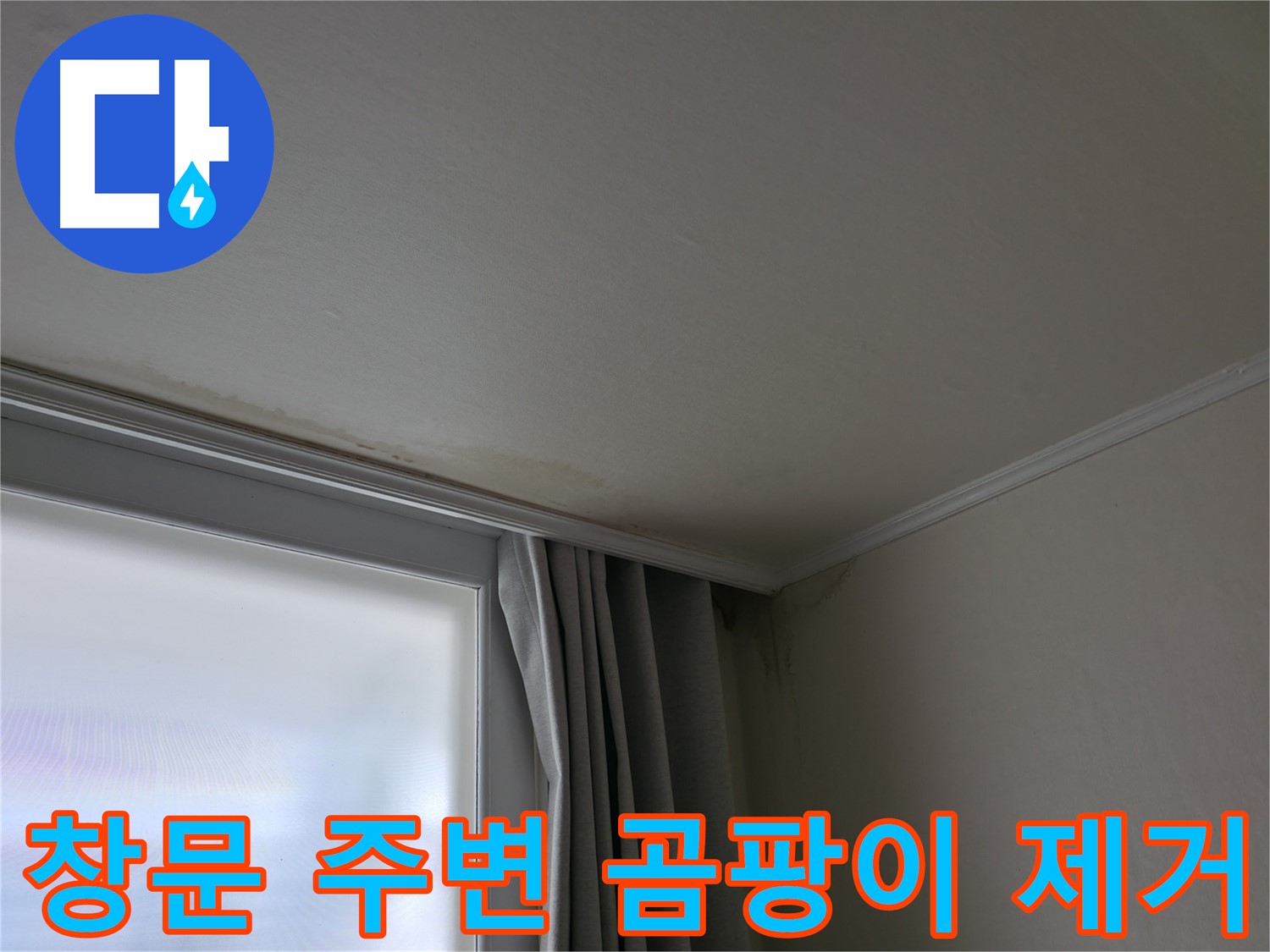 창문 주변 곰팡이 - 곰팡이 제거 및 방지 시공