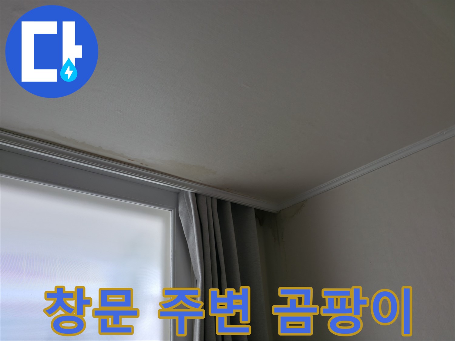 창문 주변 곰팡이 - 곰팡이 제거 후 관리 방법은?