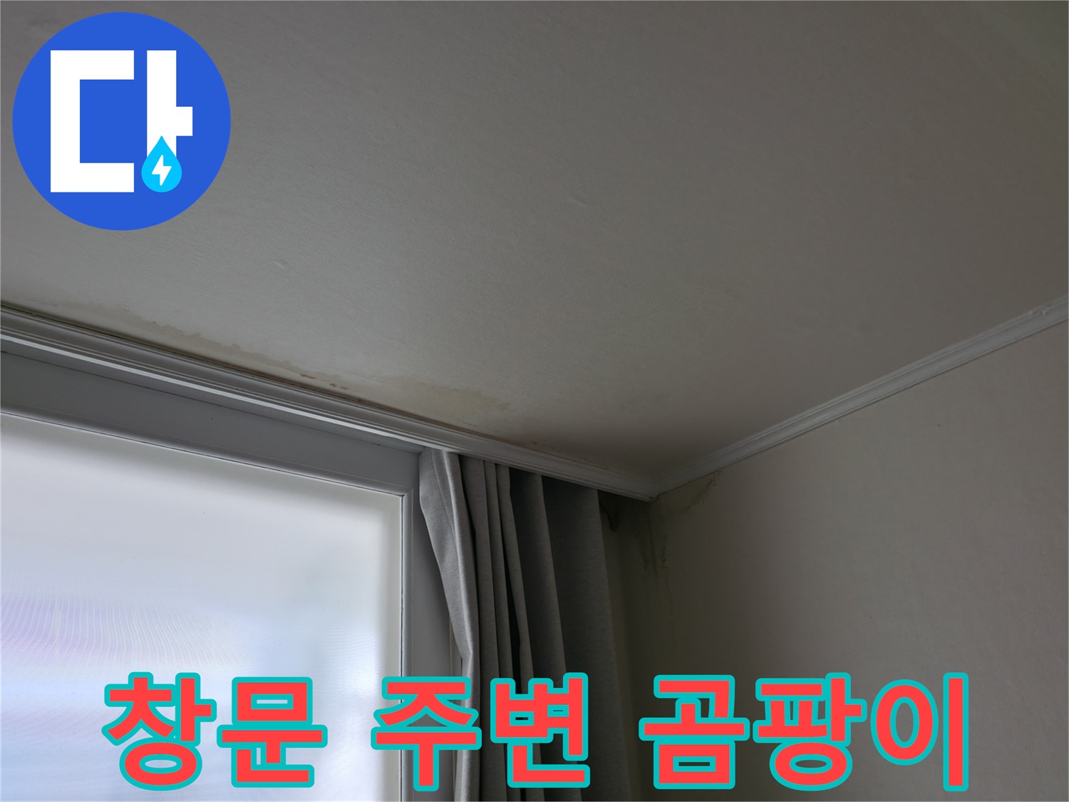 창문 주변 곰팡이 - 곰팡이 제거 후 관리 방법은?