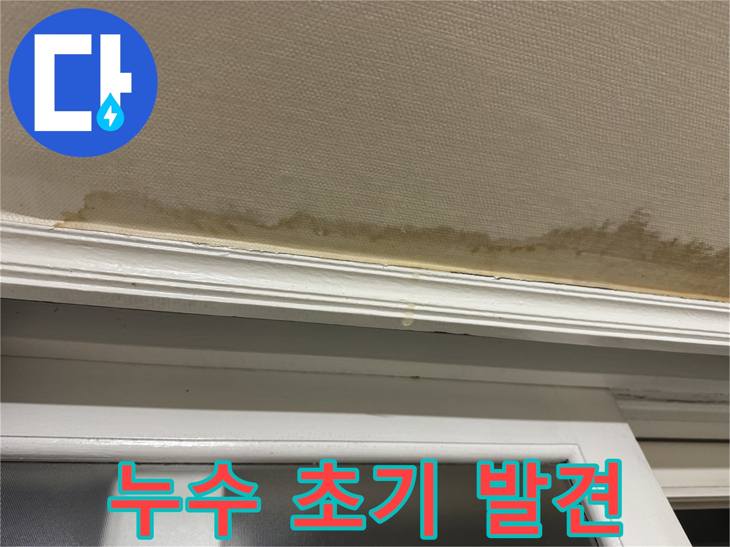 천장에 생긴 누수 흔적 - 초기 발견의 중요성을 강조합니다.