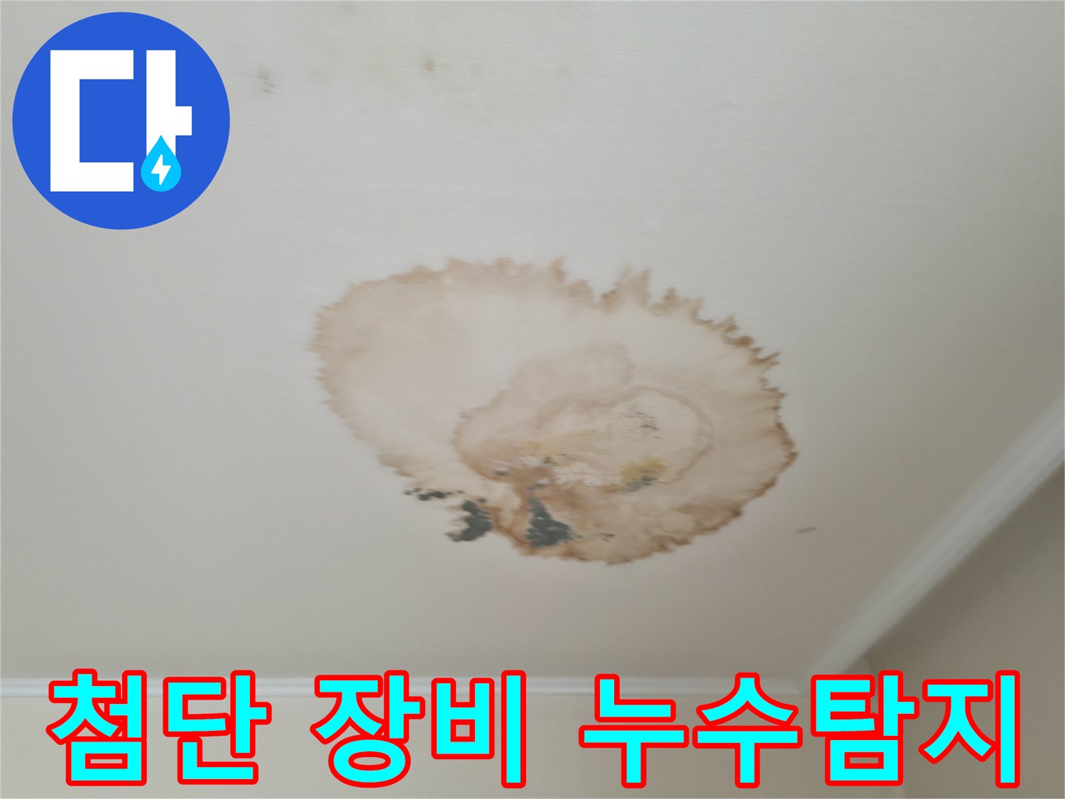 첨단 장비 - 정확한 누수 위치 탐지 - 서대문구 세검정로