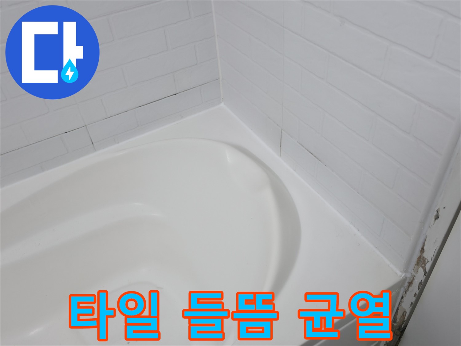 타일 들뜸 및 균열 - 누수의 심각한 신호입니다.