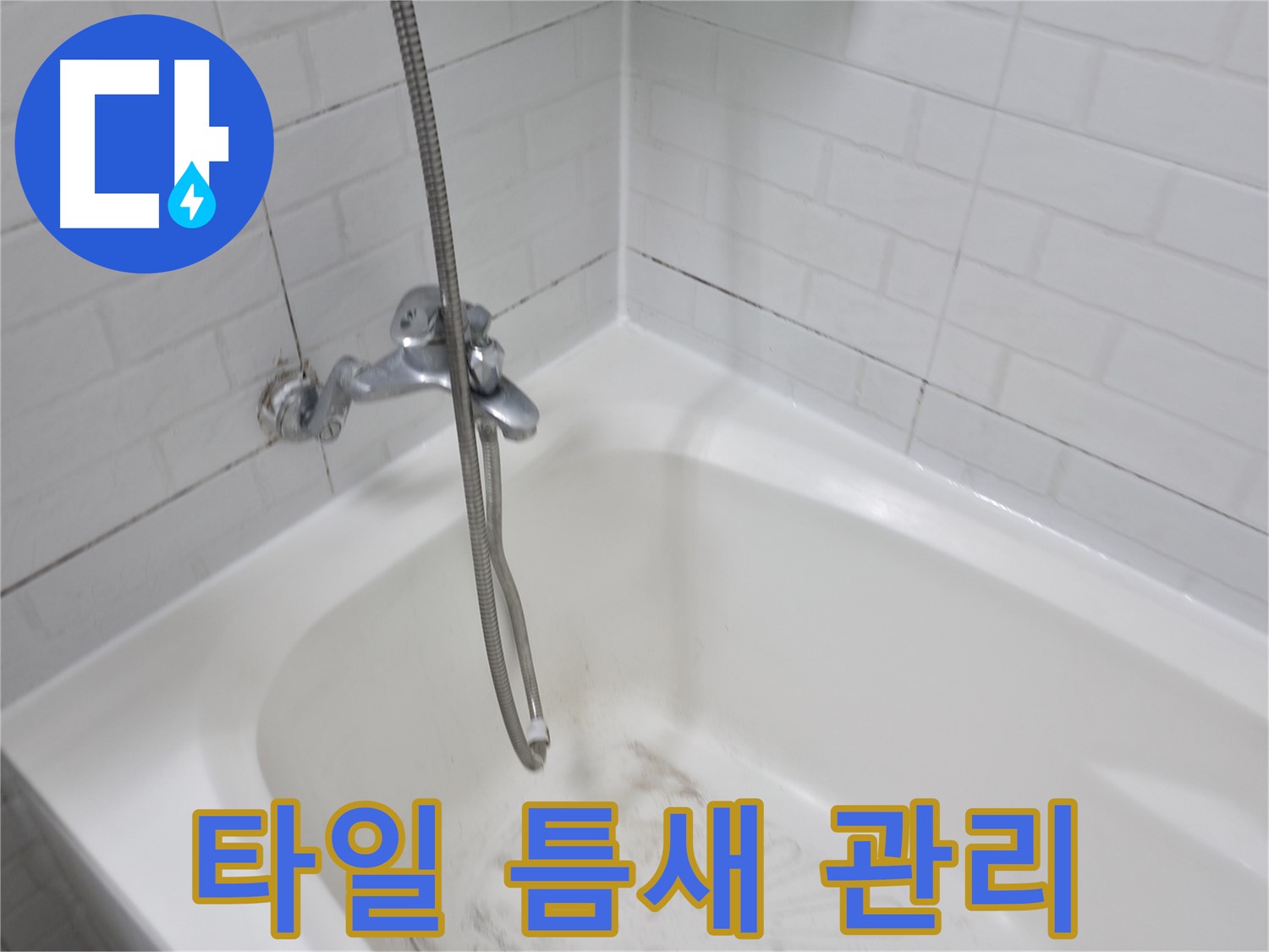 타일 틈새 관리 - 곰팡이 방지를 위한 필수