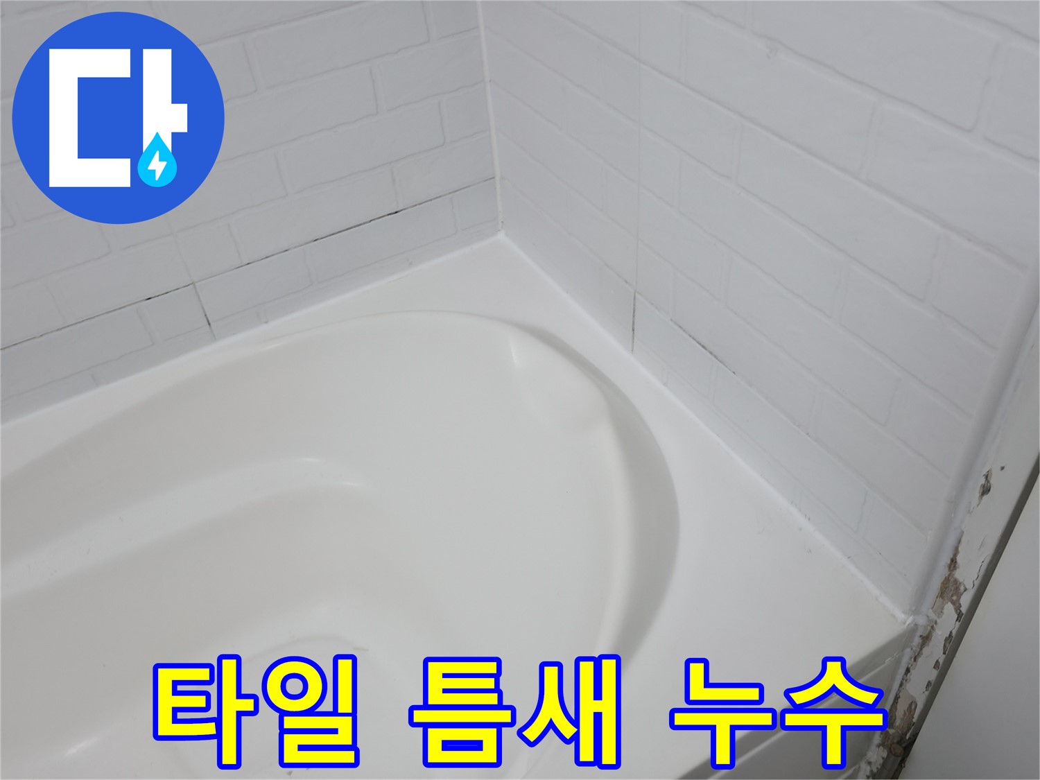 타일 틈새 - 누수의 시작점입니다.