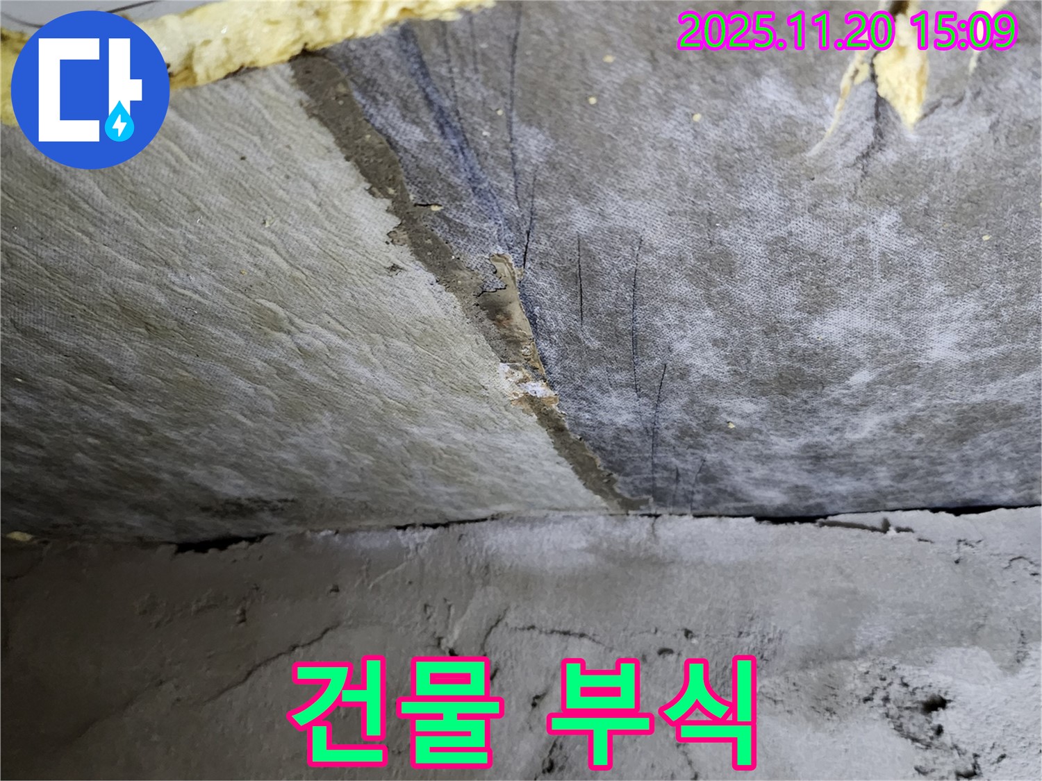건물 내부 부식 - 젖은 석고보드 - 안전 문제 발생
