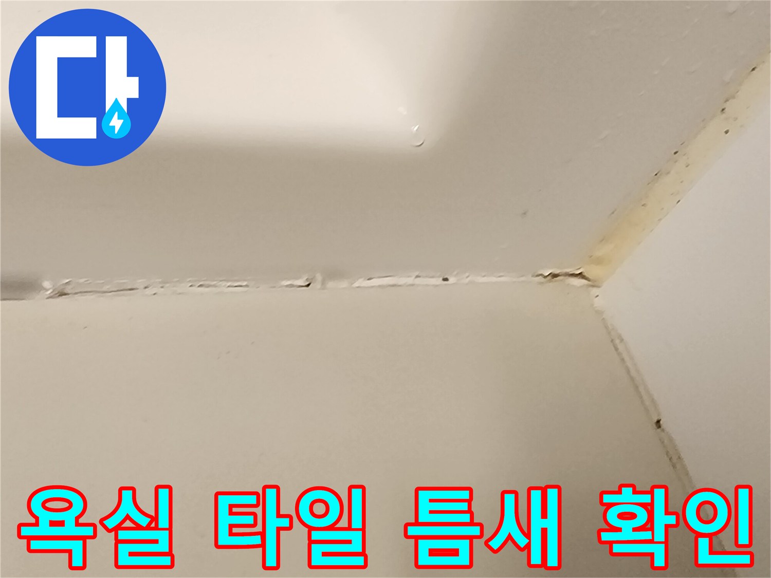 욕실-타일-접합부-균열-상태-점검