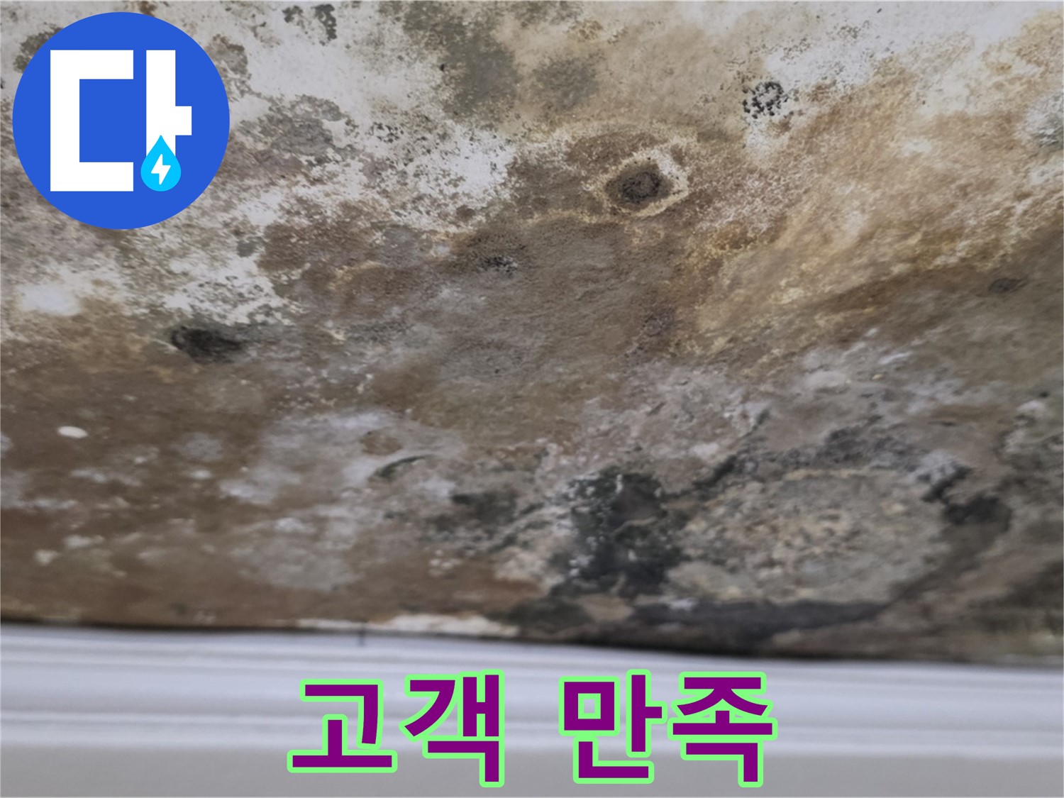 고객 만족 후기 - 고객님들의 칭찬 감사합니다!