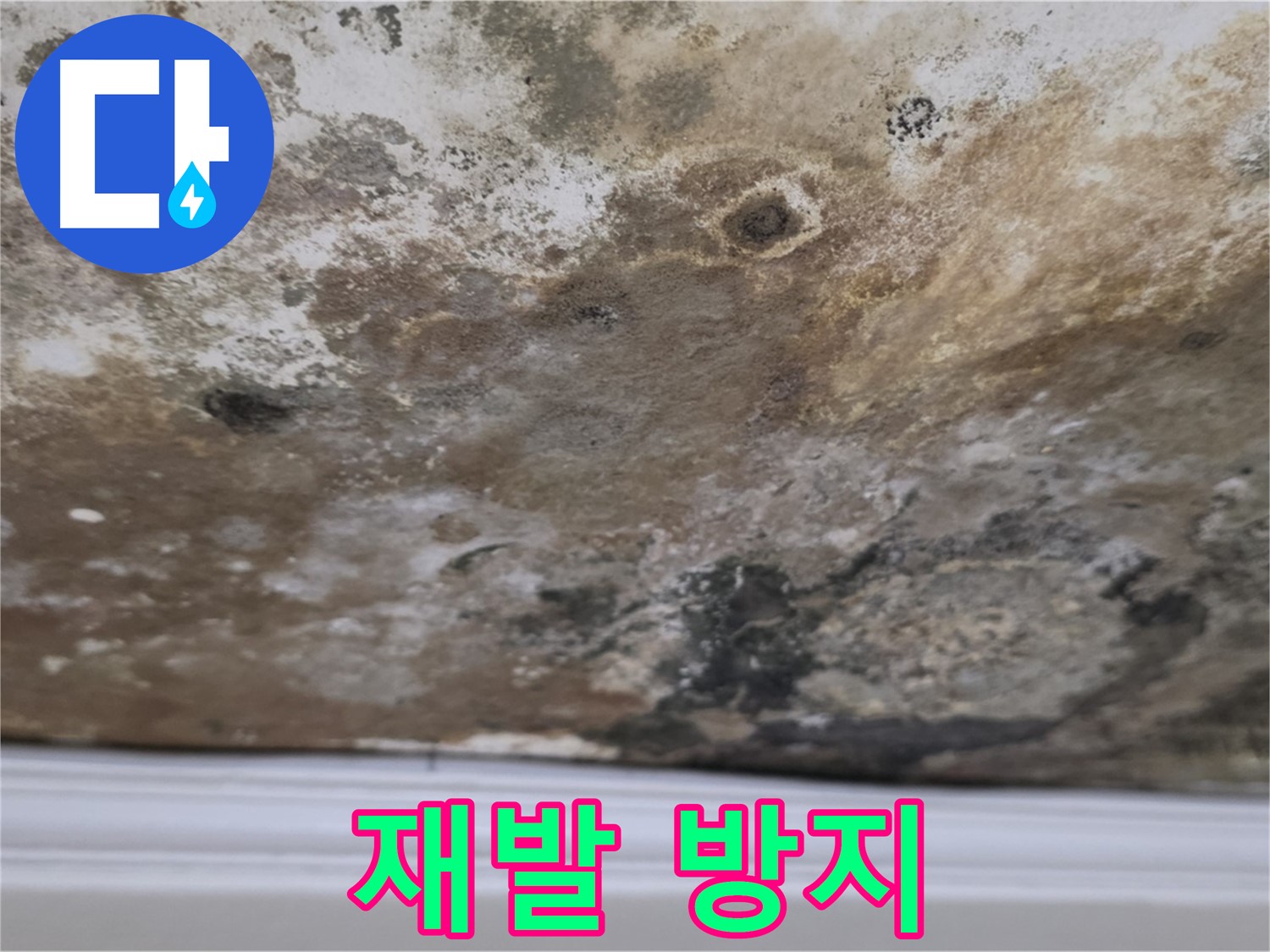 곰팡이 제거 후 - 꼼꼼한 재발 방지 약품 처리