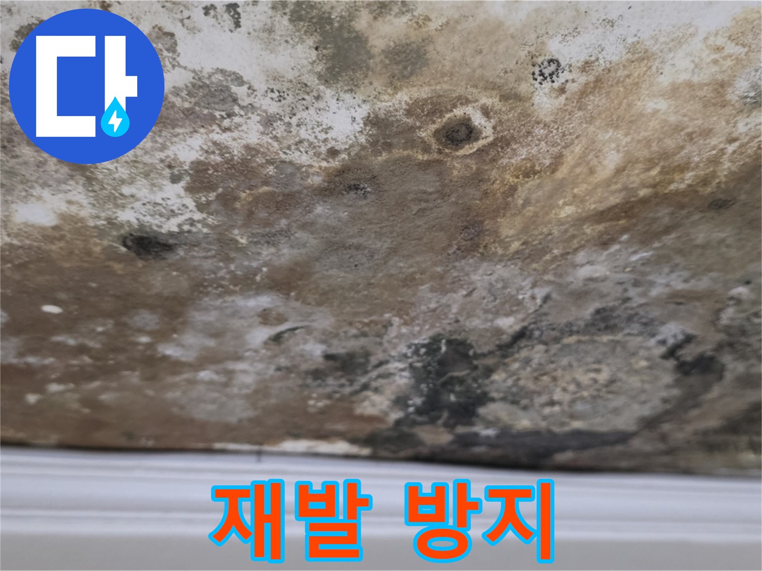곰팡이 제거 후 - 완벽한 재발 방지 시공!