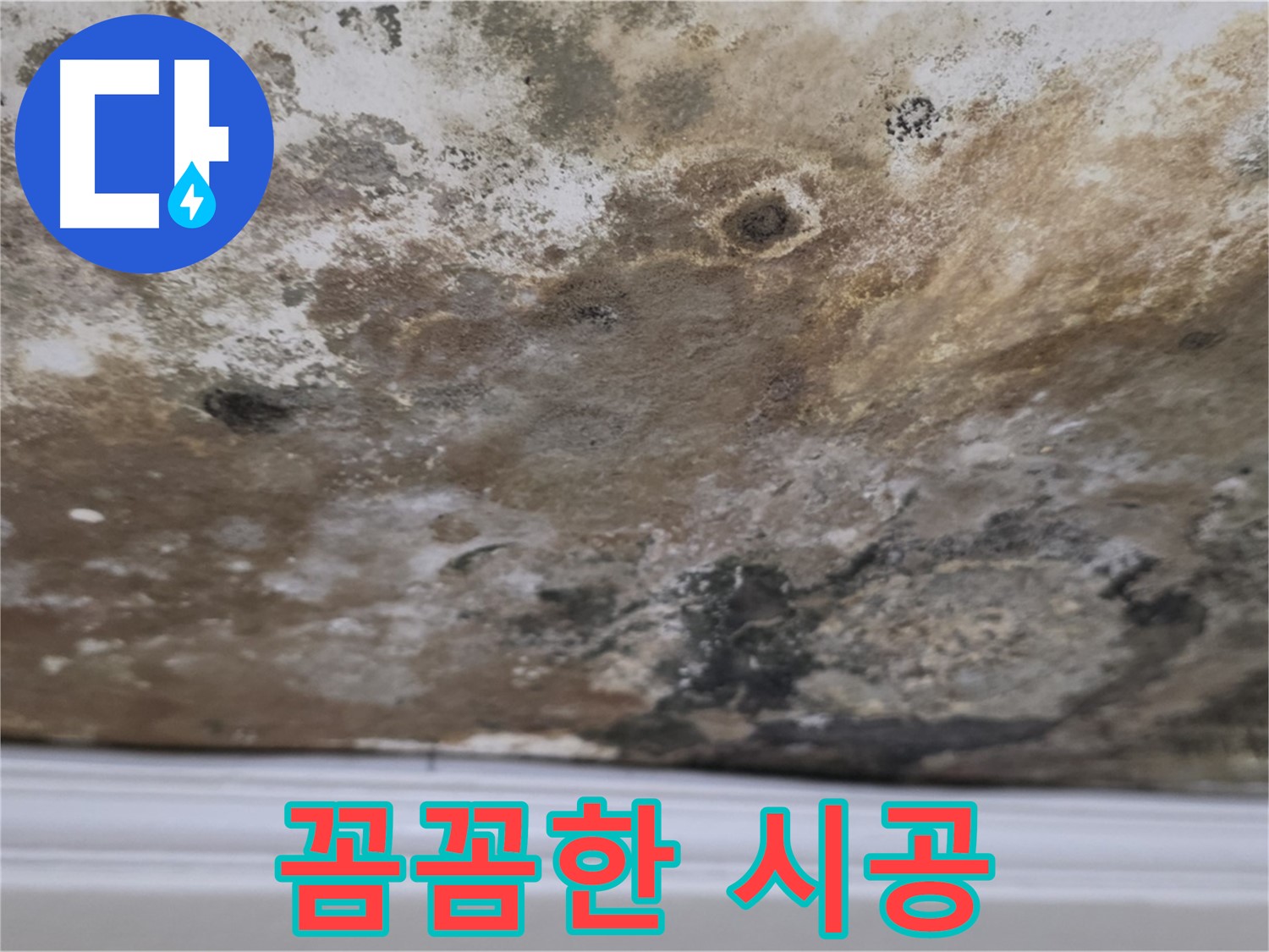 곰팡이 천장 - 꼼꼼한 시공 과정