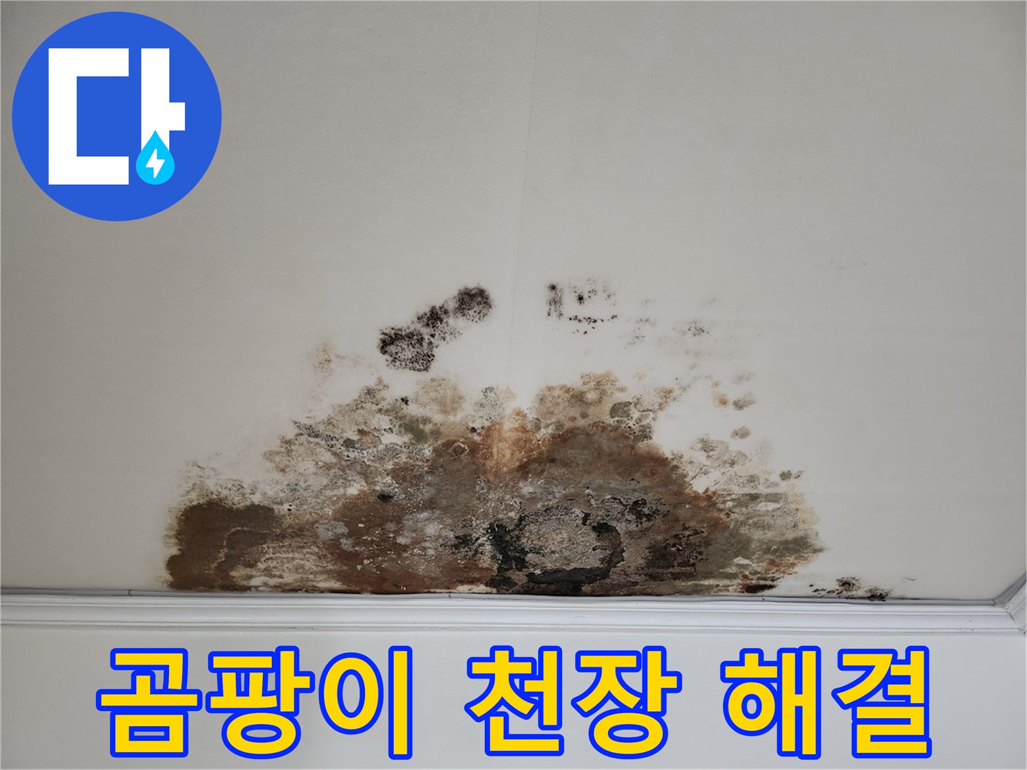 마포구 긴급 누수 - 곰팡이 천장 빠른 해결 및 안심 보장