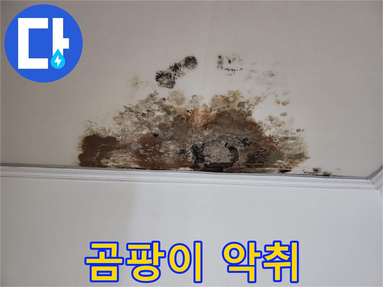 마포구 누수 - 곰팡이 악취 제거