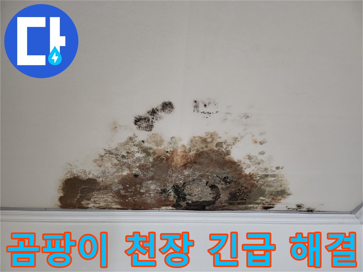 마포구 누수 긴급 - 곰팡이 천장 빠른 해결 안심 보장