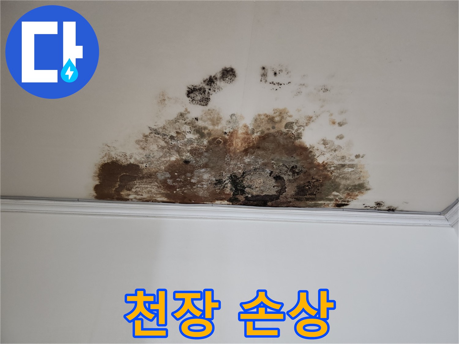 마포구 누수 - 심각한 천장 손상