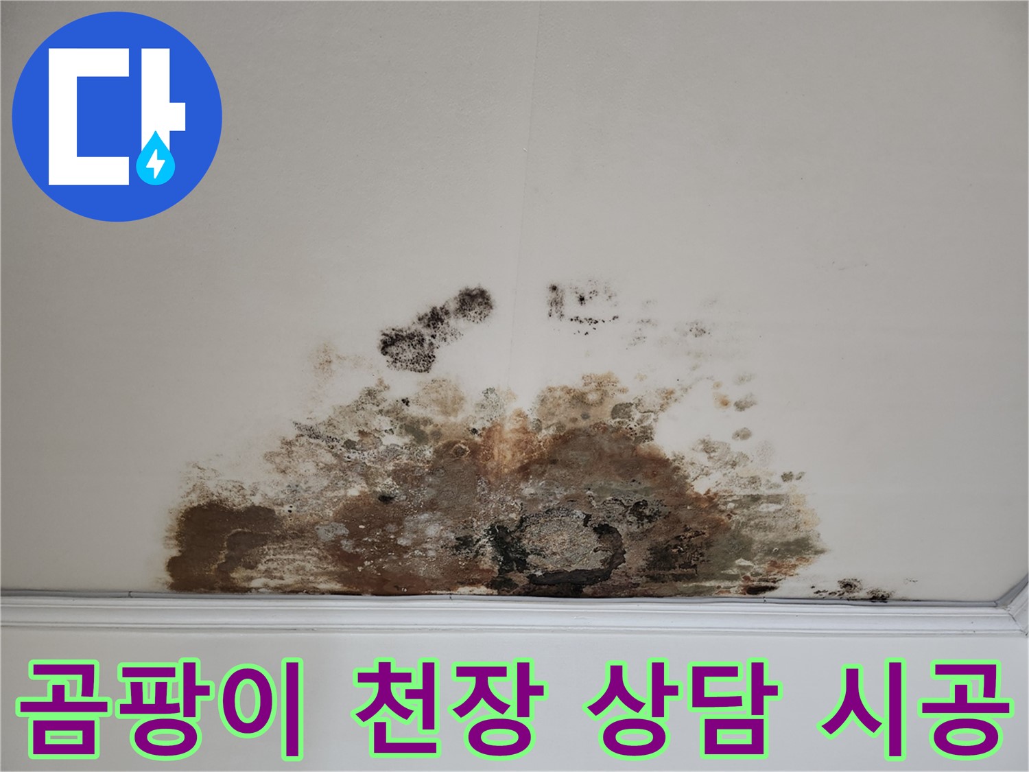 마포구 용강동 누수 곰팡이 천장 - 친절 상담 완벽 시공 책임