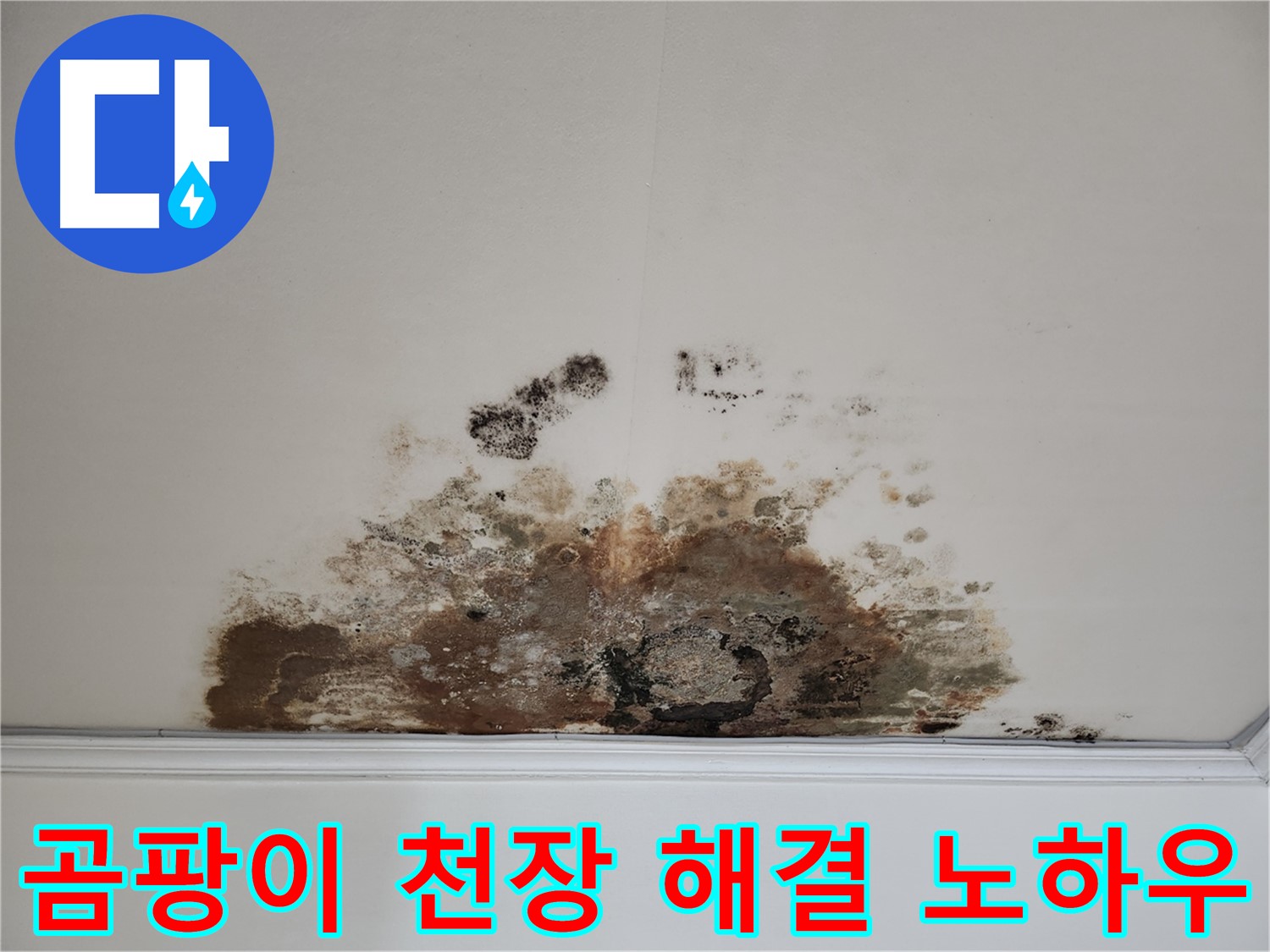 마포구 용강동 누수 - 곰팡이 핀 천장 완벽 해결 노하우 공개