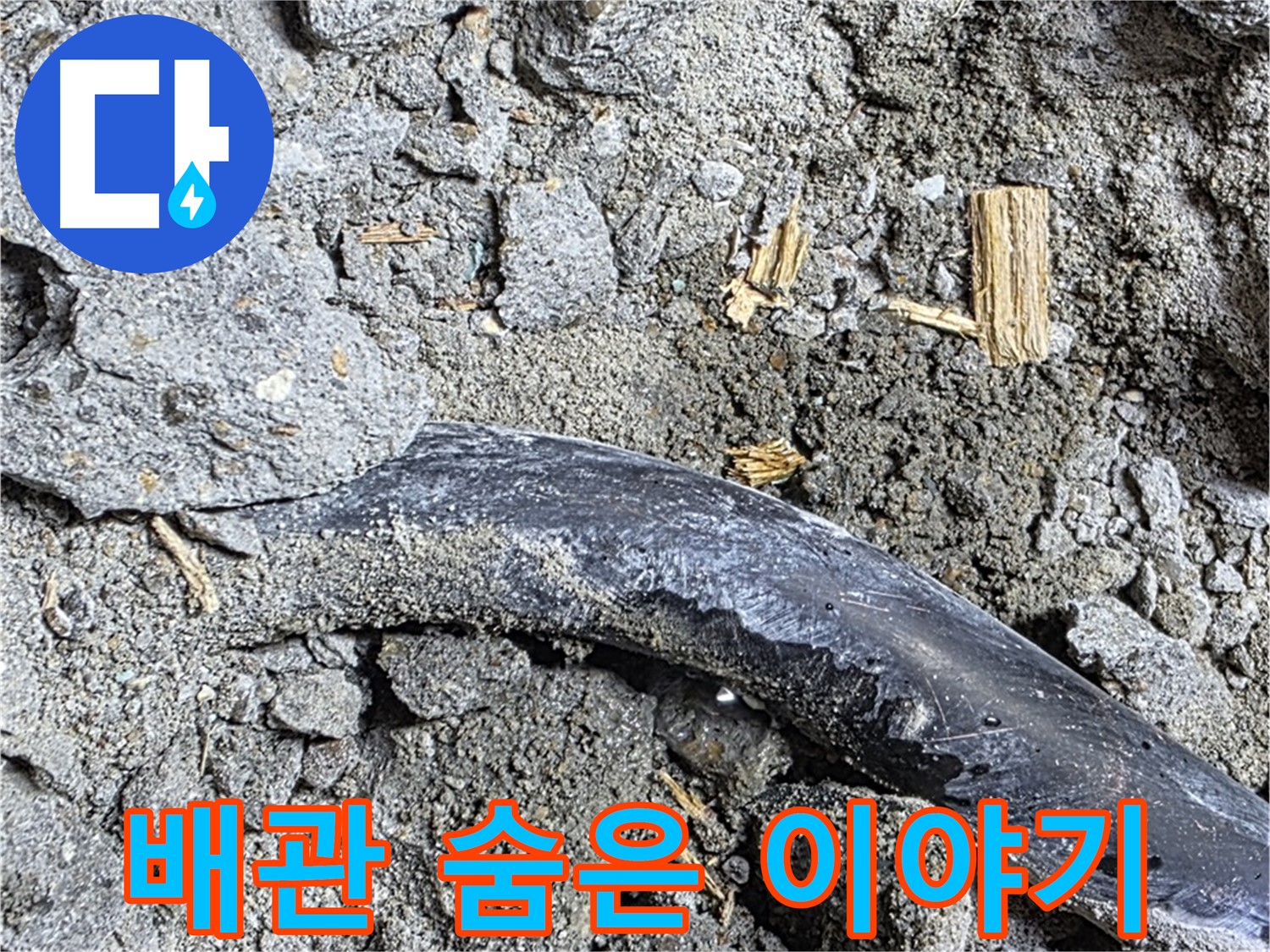 마포구 용강동 현대홈타운 - 젖은 흙과 검게 변색 - 누수 진행 중