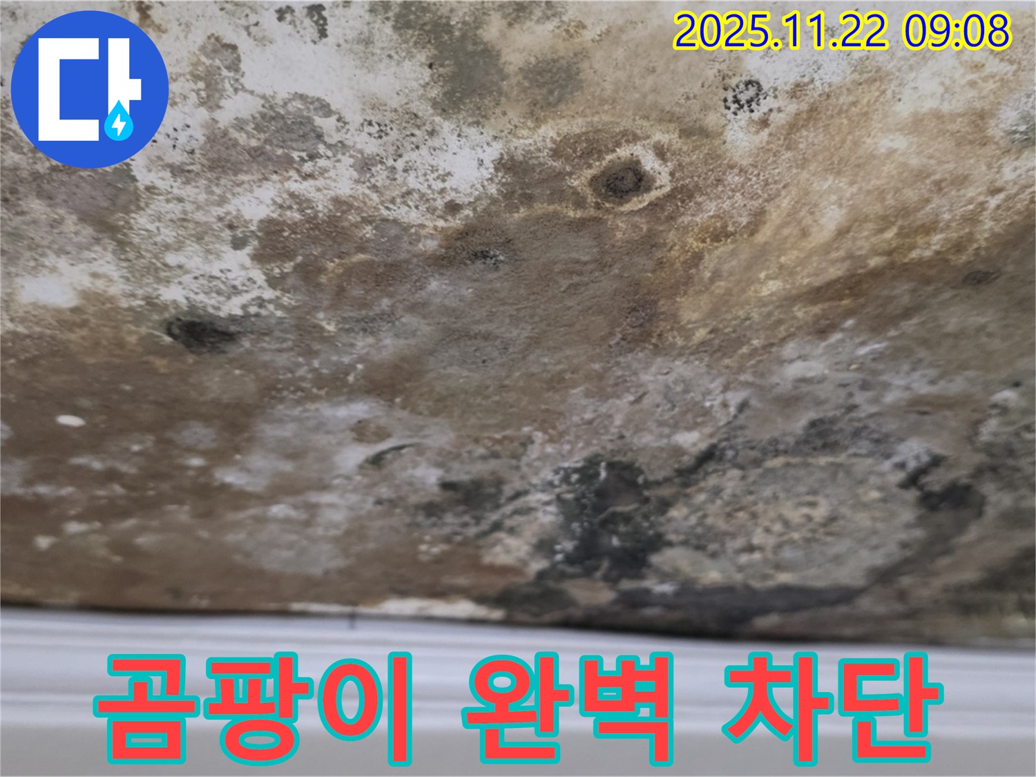 마포구 용강동 현대홈타운 - 곰팡이 천장, 완벽 차단 시공, 건강 지킴이