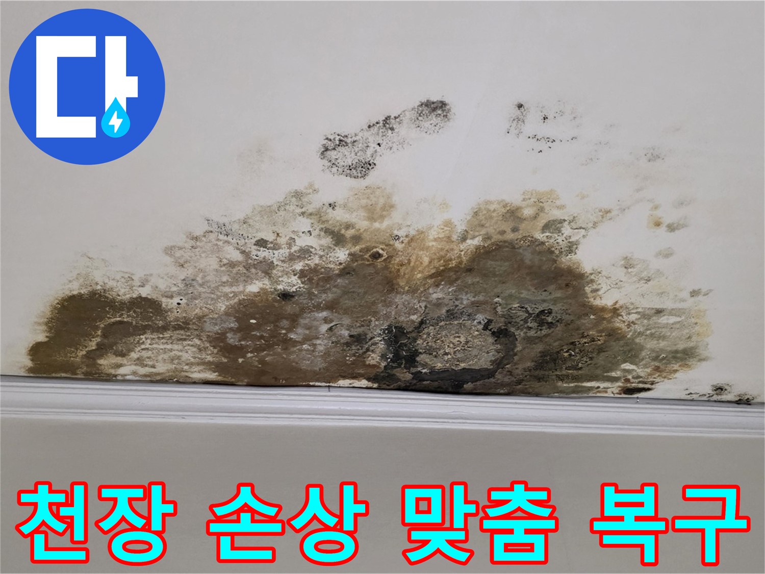 마포구 용강동 현대홈타운 아파트 - 곰팡이로 인한 천장 손상 긴급 진단 및 완벽 맞춤 복구 솔루션 제공