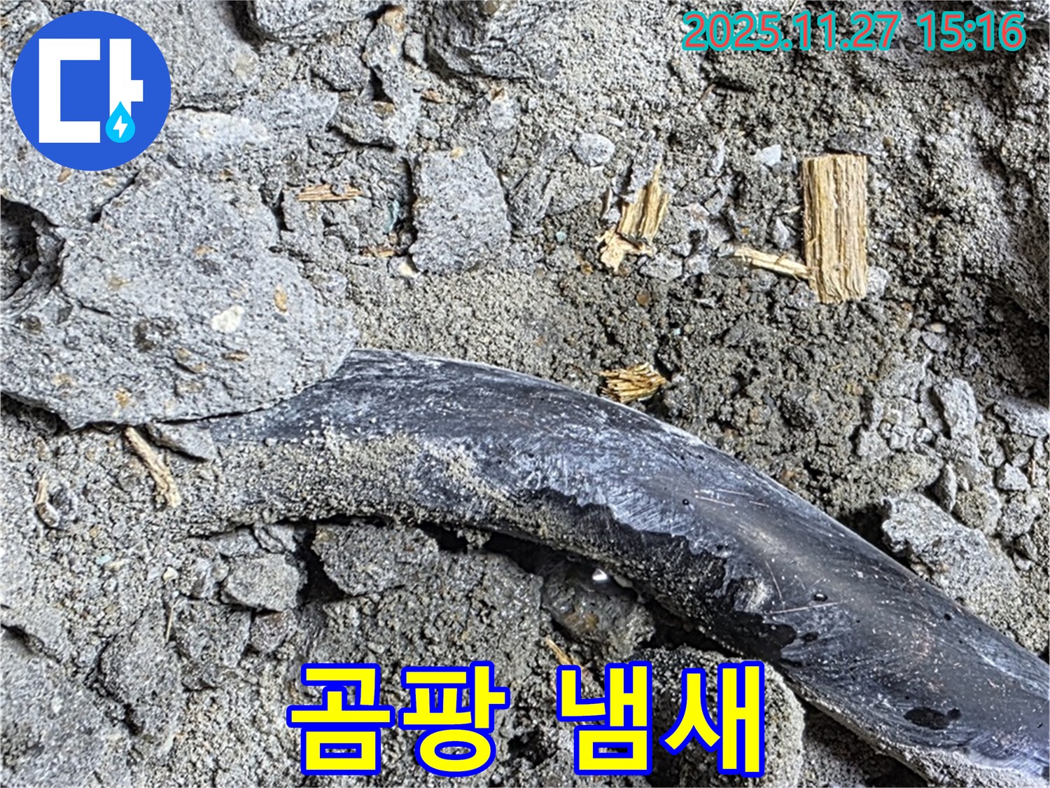 마포구 용강동 현대홈타운 - 젖은 흙과 곰팡이 냄새 - 심각한 누수 진행