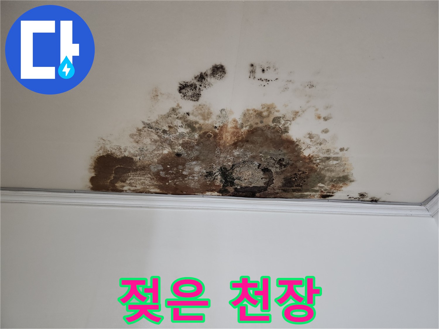 마포구 용강동 현대홈타운 천장 누수 - 젖어있는 천장