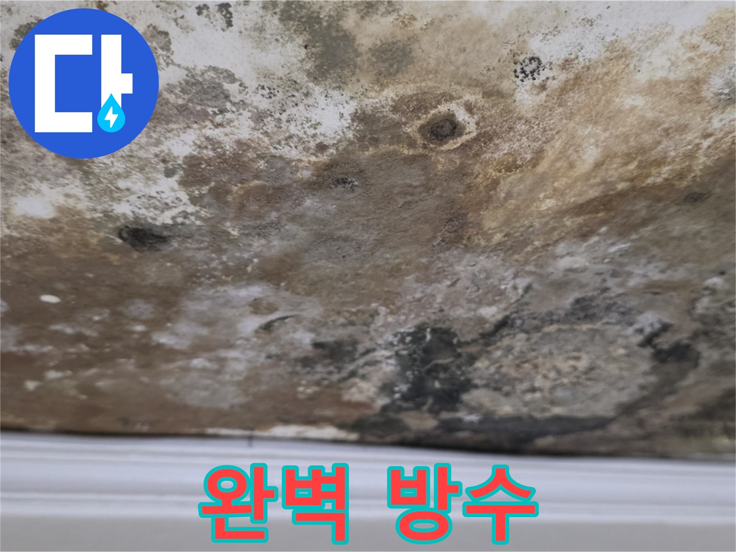 방수 공사 시공 모습 - 누수 재발 방지를 위한 방수 공사 시공 모습입니다.