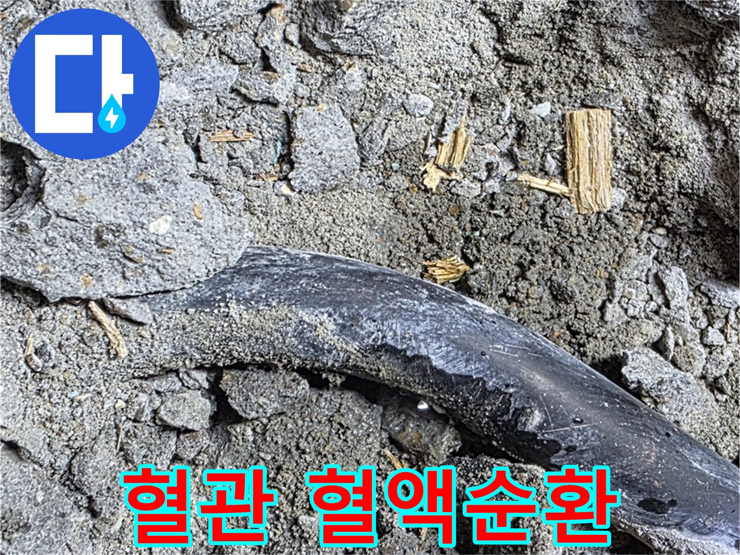서울 마포 누수 현장 - 콘크리트 속 낡은 배관의 멈춰버린 혈관을 뚫기 위해 누수 혈액순환 프로젝트를 시작합니다.