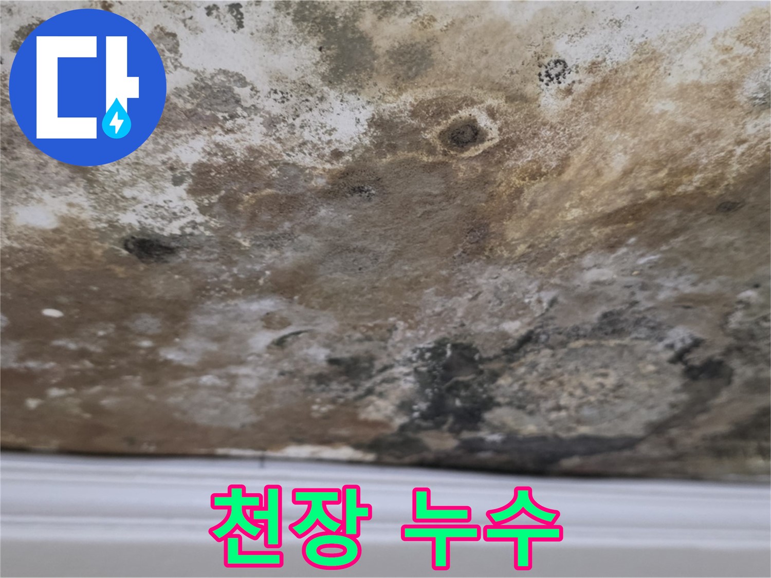 심각한 천장 누수 - 천장에 넓게 퍼진 누수 자국과 곰팡이가 심각한 상황을 보여줍니다.