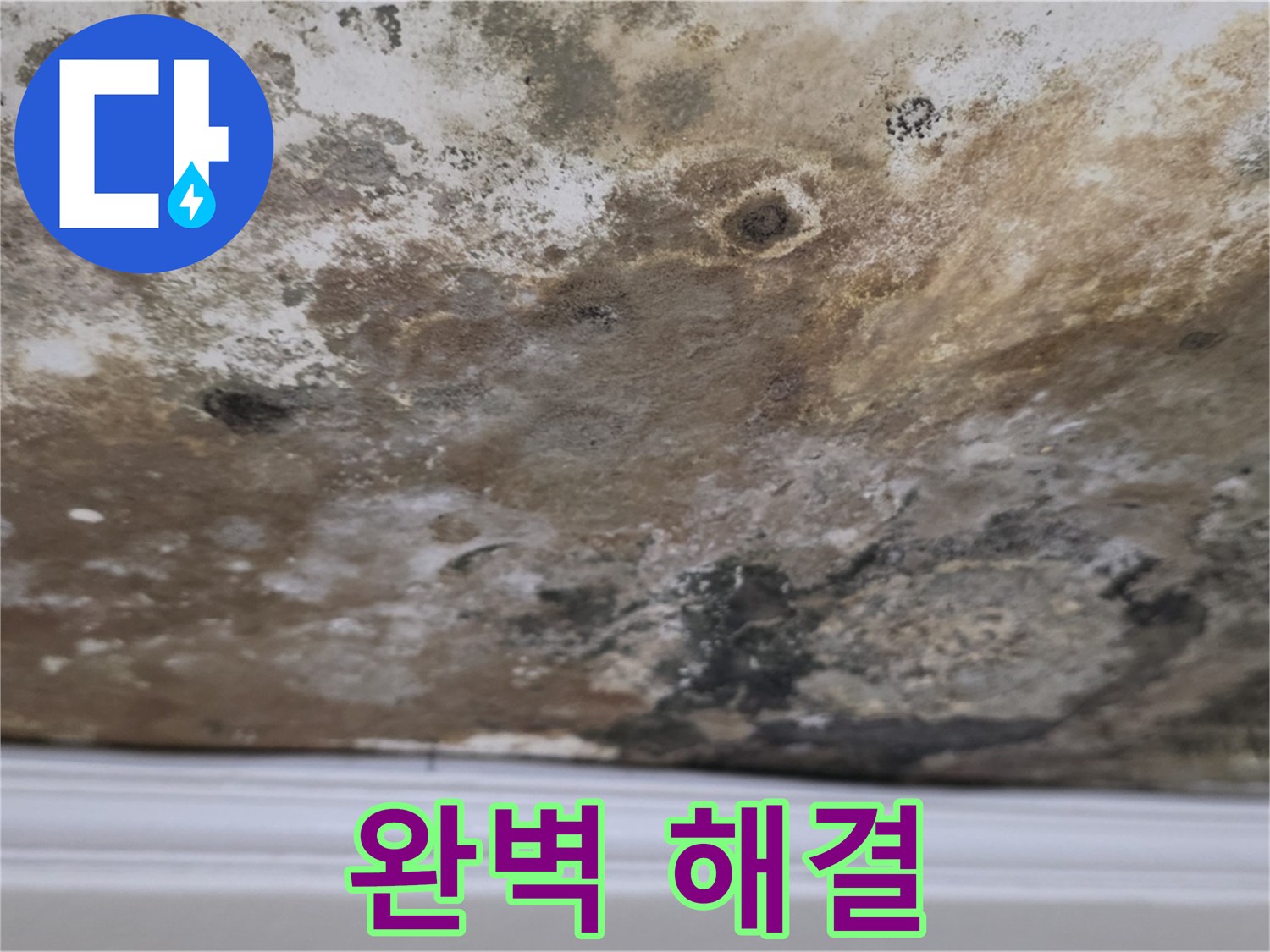 완벽한 누수 해결 - 고객 맞춤형 솔루션을 제공합니다!