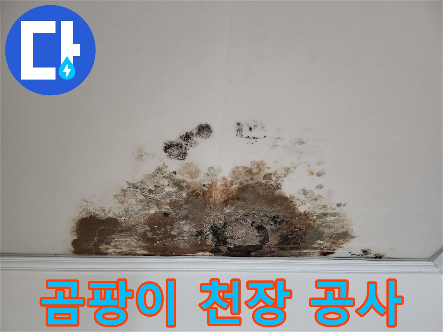 용강동 긴급 누수 - 곰팡이 천장, 신속 진단 및 완벽 공사