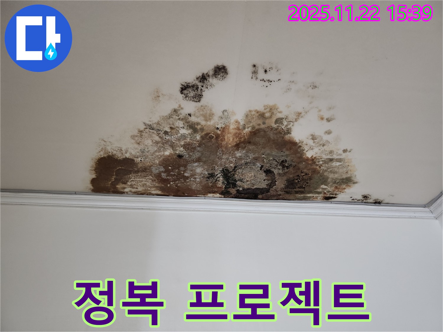 용강동 새창로8길 누수 - 곰팡이 정복, 현대홈타운 쾌적한 집