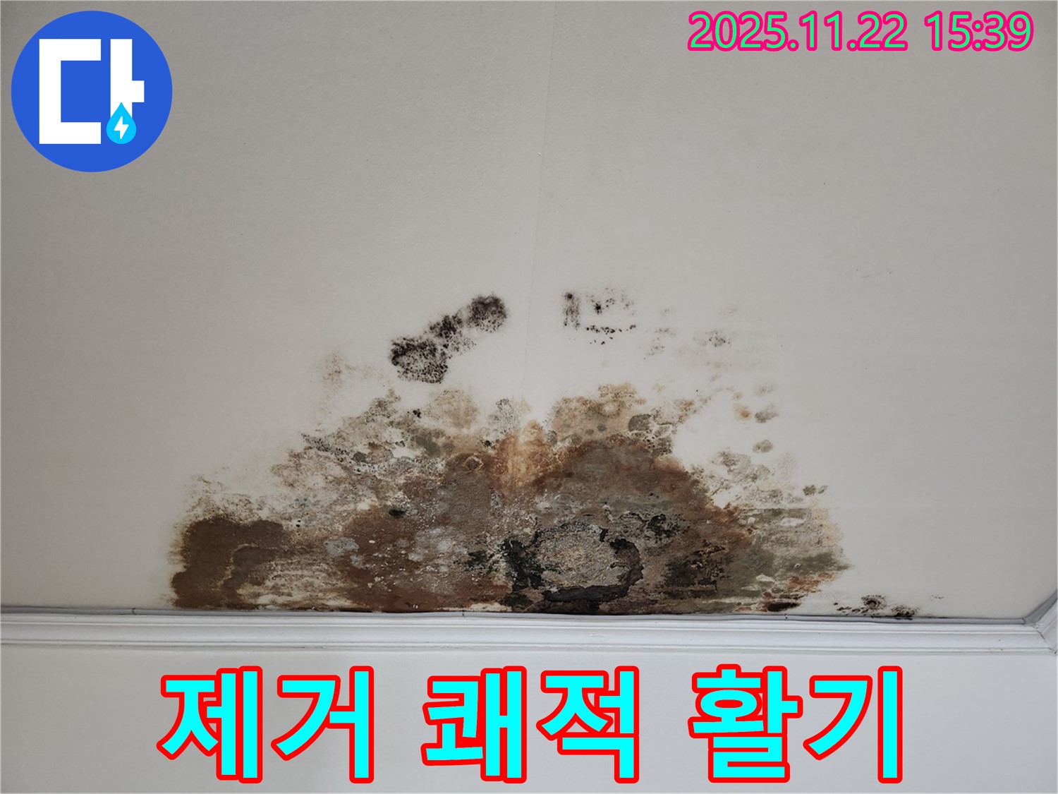 용강동 아파트 - 곰팡이 천장, 곰팡이 제거로 쾌적한 환경에서 활기찬 하루를
