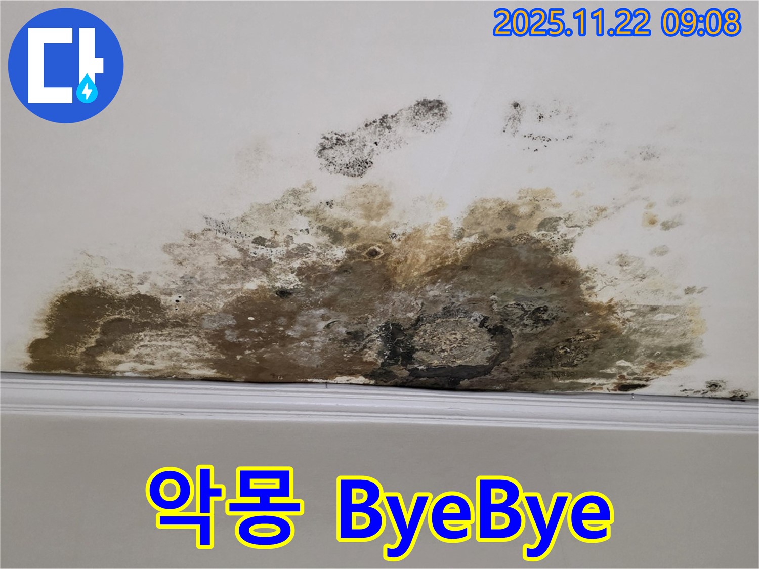 용강동 아파트 누수 - 곰팡이와의 악몽 ByeBye, 쾌적한 공간에서 행복 충전 완료!