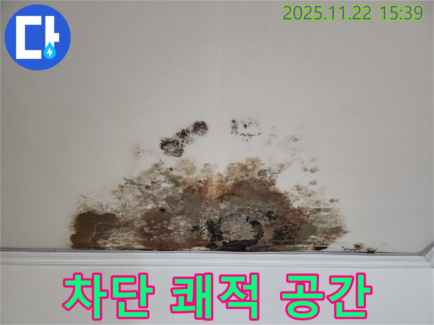 용강동 현대홈타운 아파트 - 곰팡이 누수, 완벽 차단! 쾌적한 공간으로