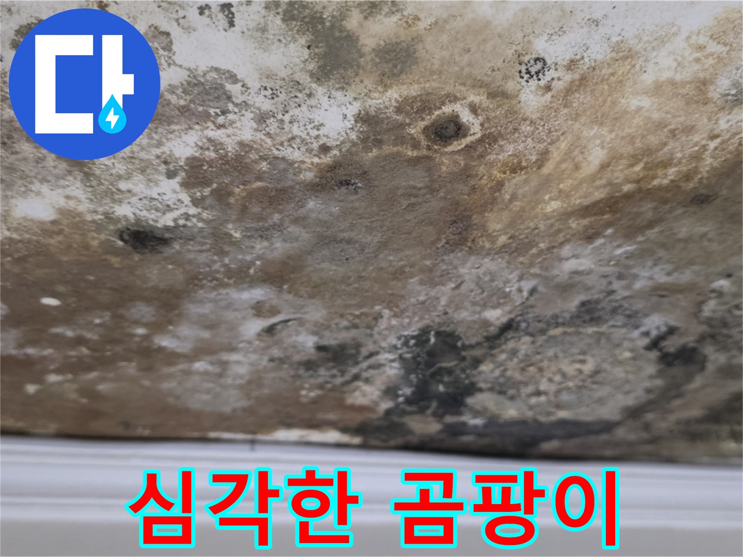 현대홈타운 곰팡이 천장 - 긴급 점검이 필요합니다!