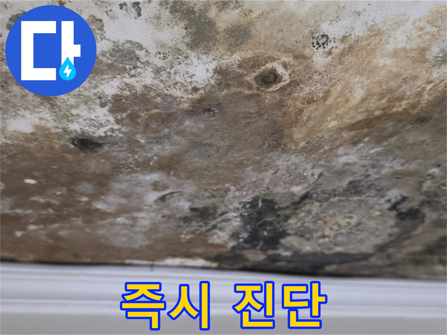 현대홈타운 곰팡이 천장 - 원인 즉시 진단!
