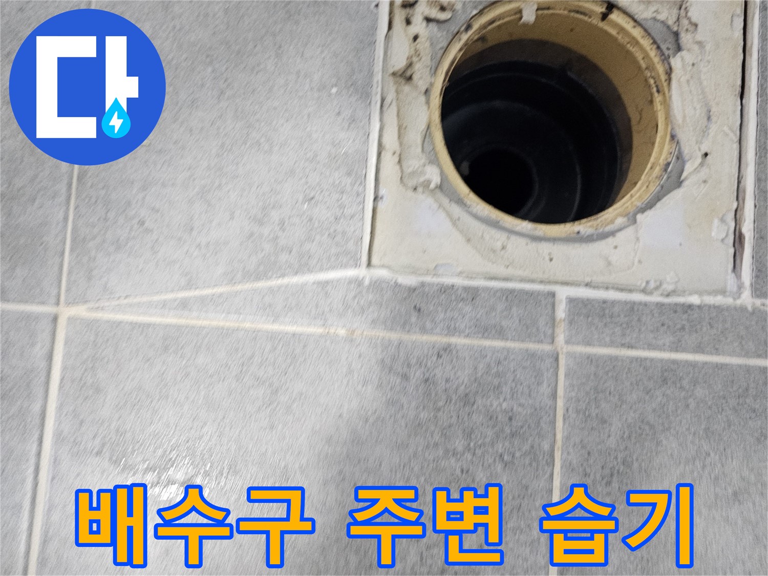 욕실 배수구 주변 습기 - 누수 가능성 확인