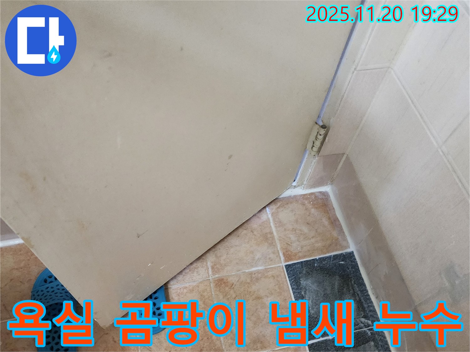가산면 감암리 욕실 곰팡이 냄새 - 숨겨진 누수 탐지
