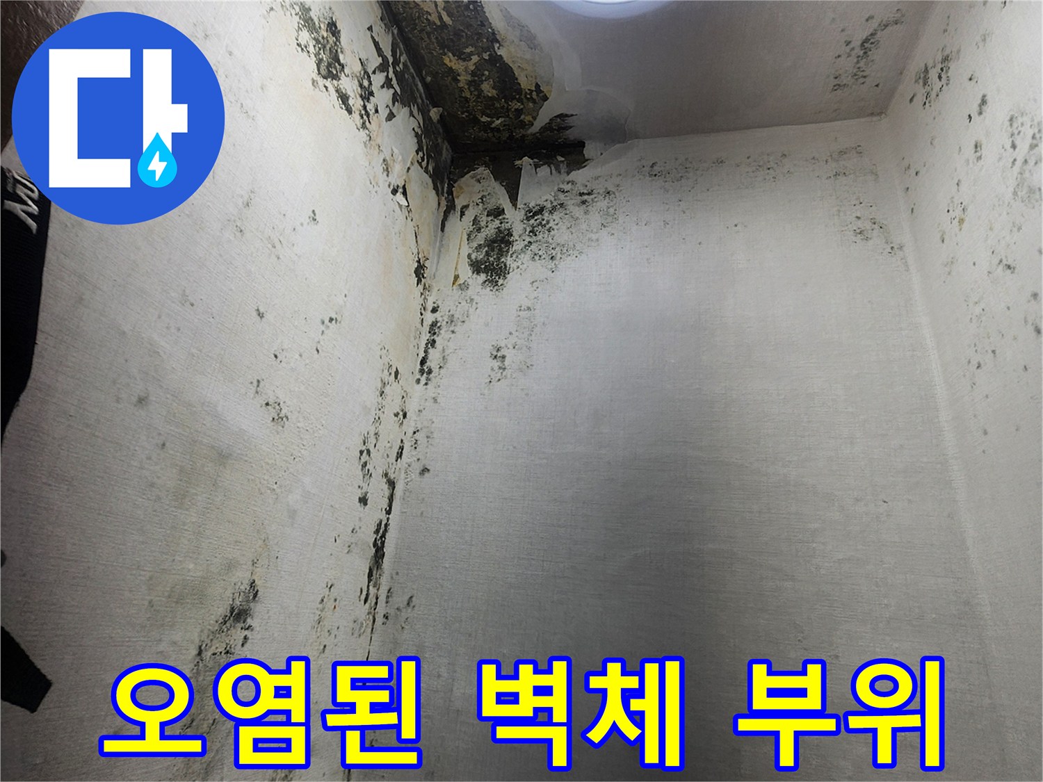 곰팡이가 번진 벽-누수로 인해 훼손된 다용도실 내부