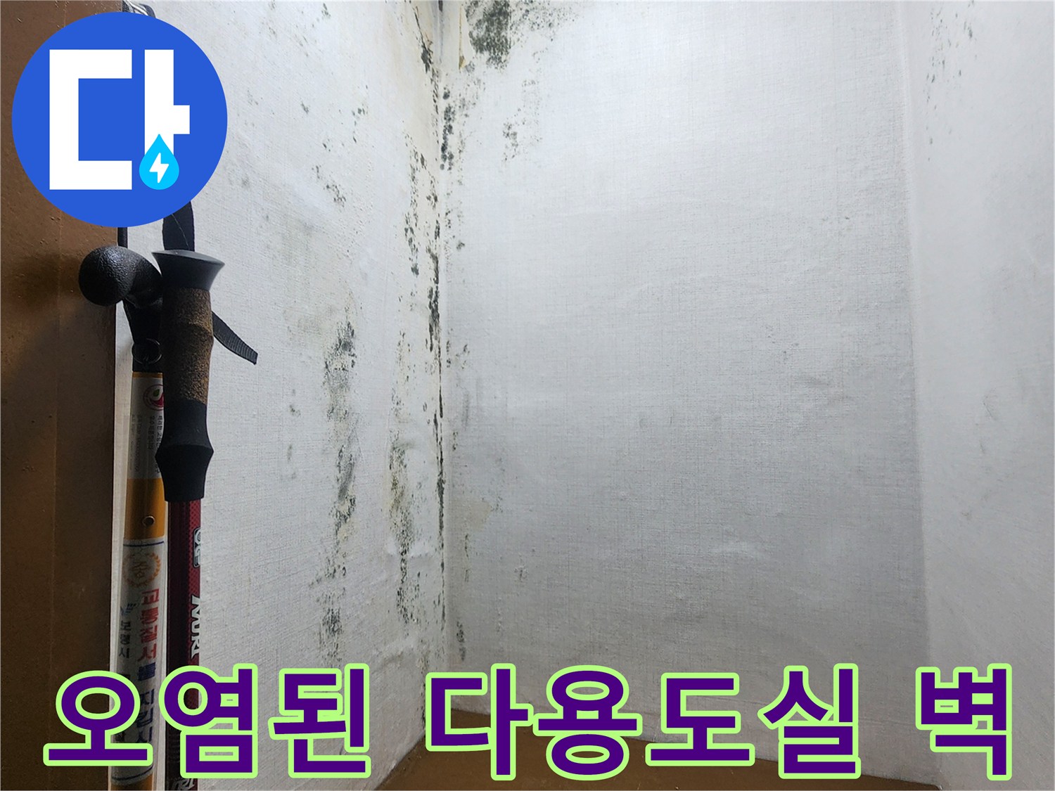 누수 진단 중인 현장-곰팡이가 번진 벽면과 압력 측정 장비