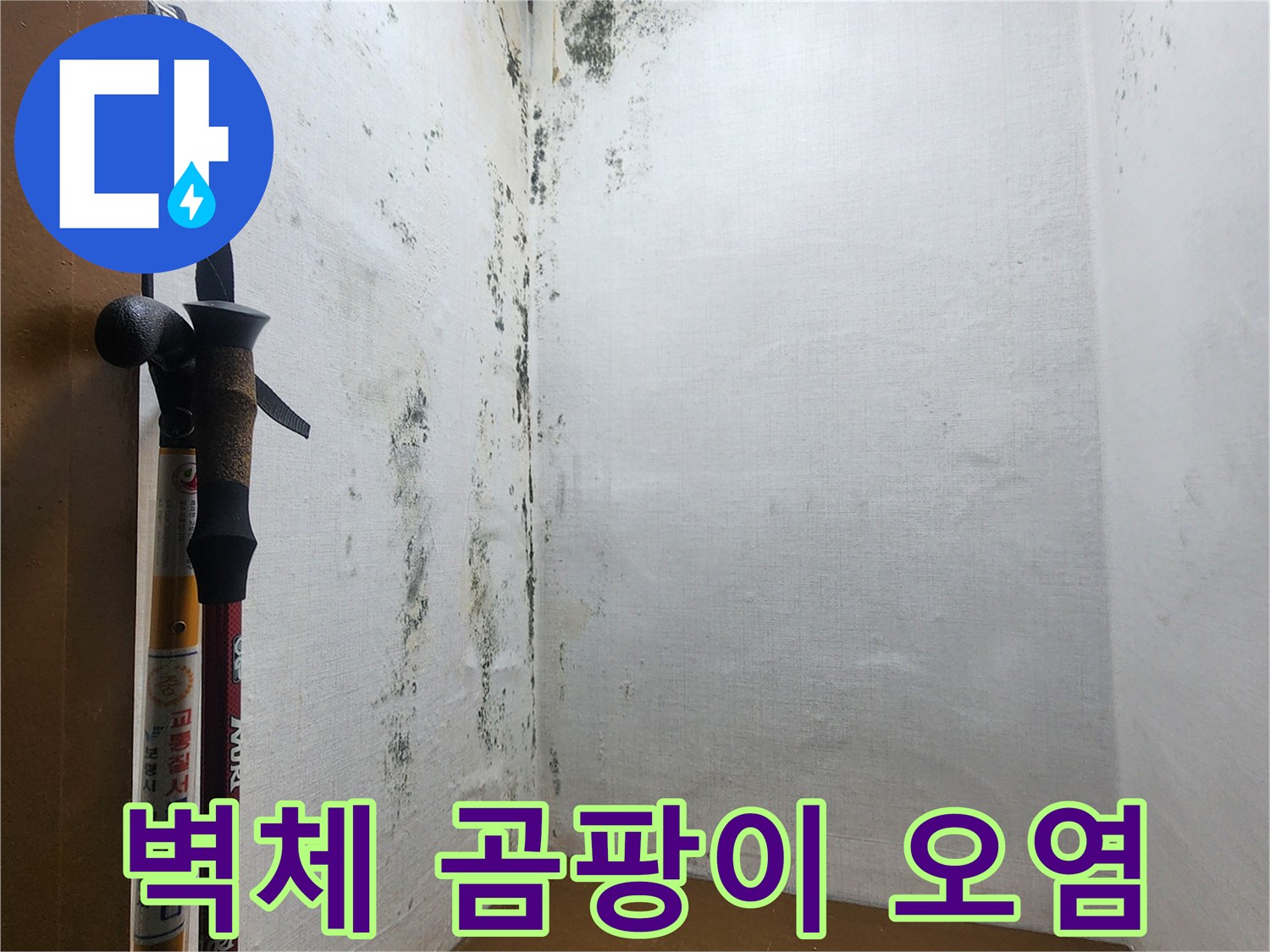 신곡동-현장-벽면-하단-곰팡이-및-습기-흔적