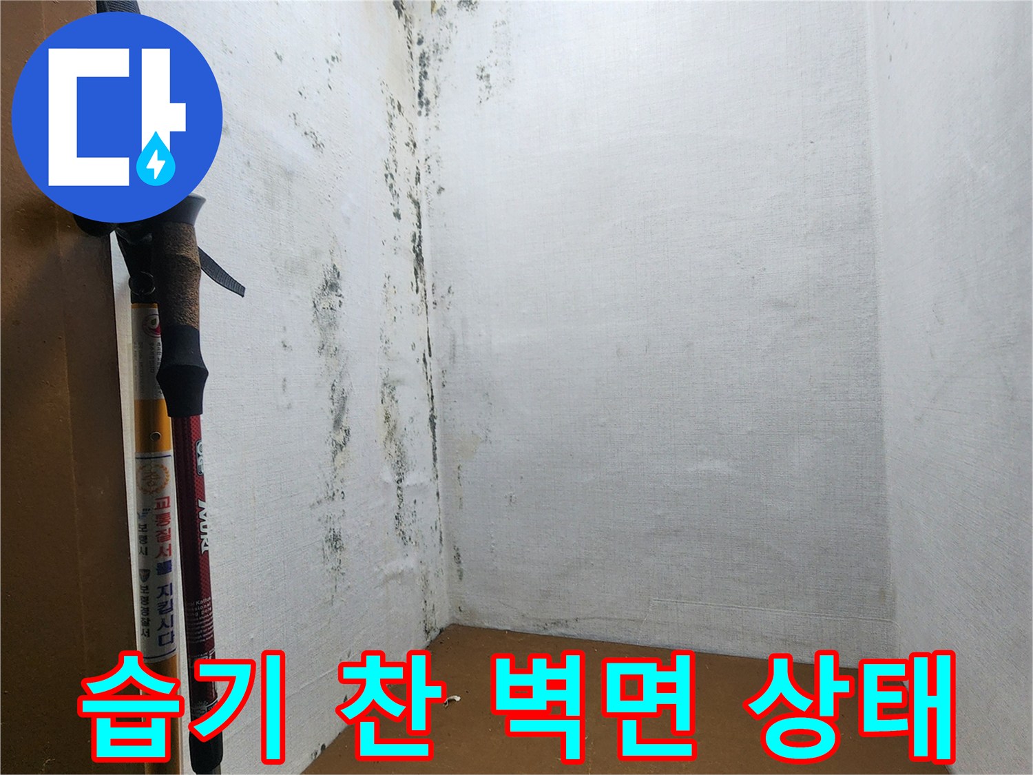 의정부 누수 현장-곰팡이와 습기로 오염된 다용도실 벽체