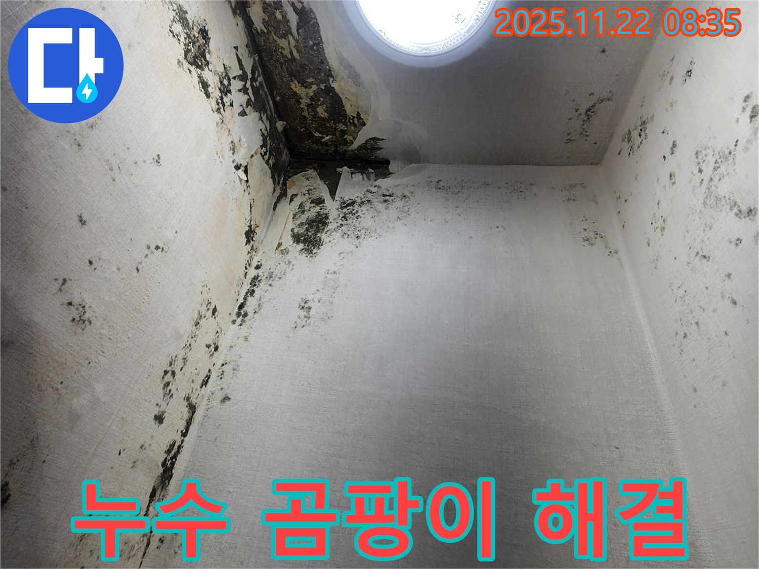의정부 신곡1동 누수 - 곰팡이 문제 완벽 해결, 깨끗한 집으로 변신
